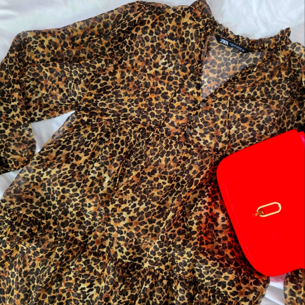 ZARA Animal Print Dress
